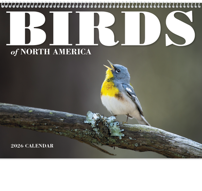 Good Value Birds of North America  Spiral Calendar-7036