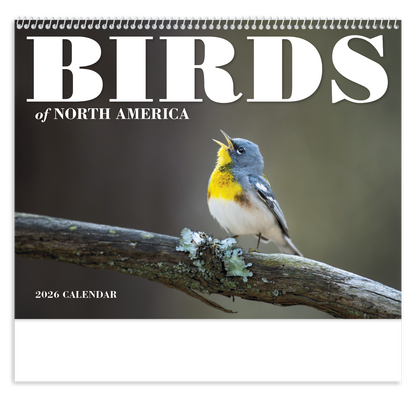 Good Value Birds of North America  Spiral Calendar-7036