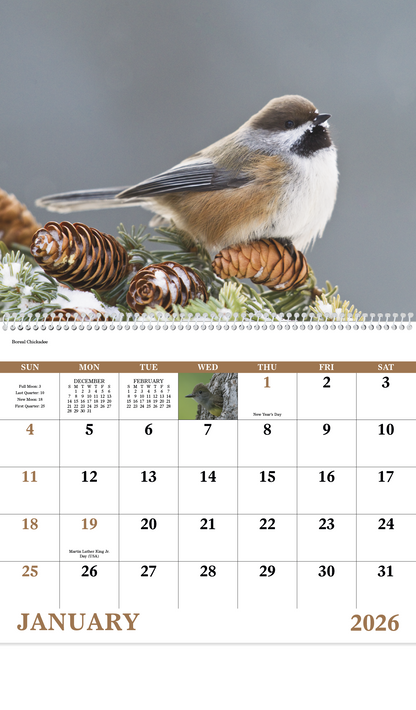 Good Value Birds of North America  Spiral Calendar-7036