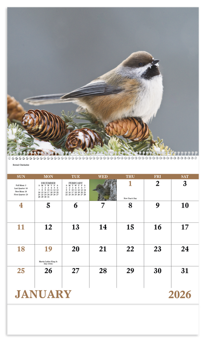 Good Value Birds of North America  Spiral Calendar-7036