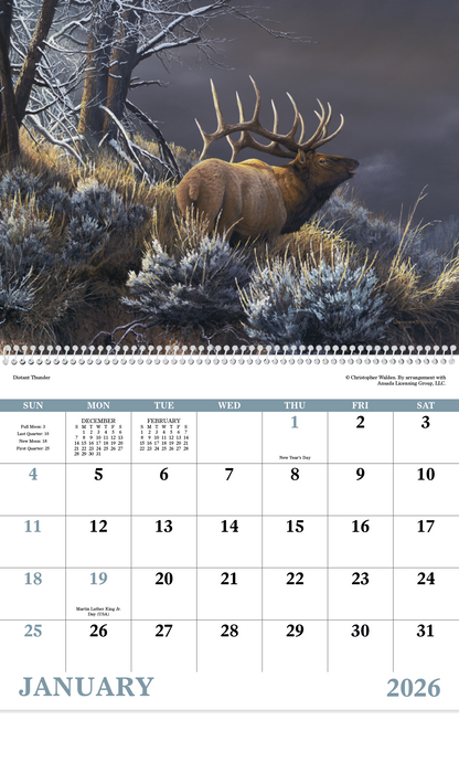 Good Value Wildlife Canvas  Spiral Calendar-7038