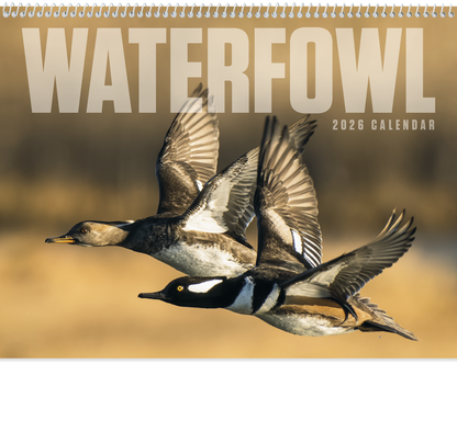 Good Value Waterfowl  Spiral Calendar-7048