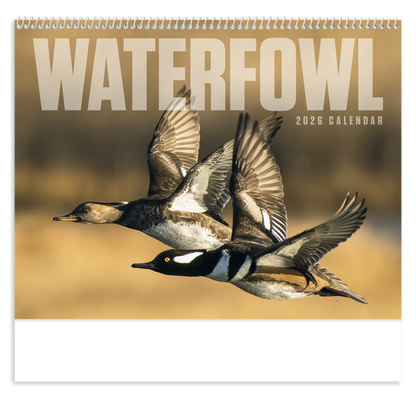 Good Value Waterfowl  Spiral Calendar-7048