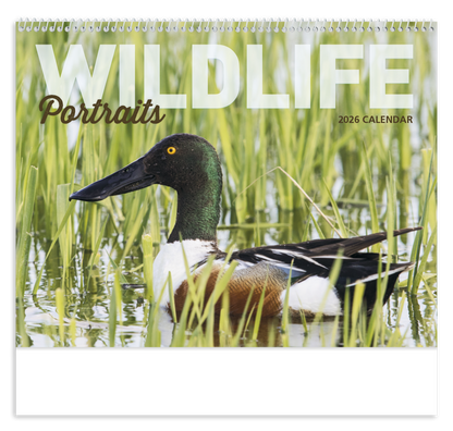 Good Value Wildlife Portraits  Spiral Calendar-7063