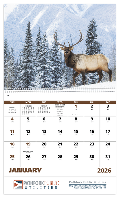 Good Value Wildlife Portraits  Spiral Calendar-7063