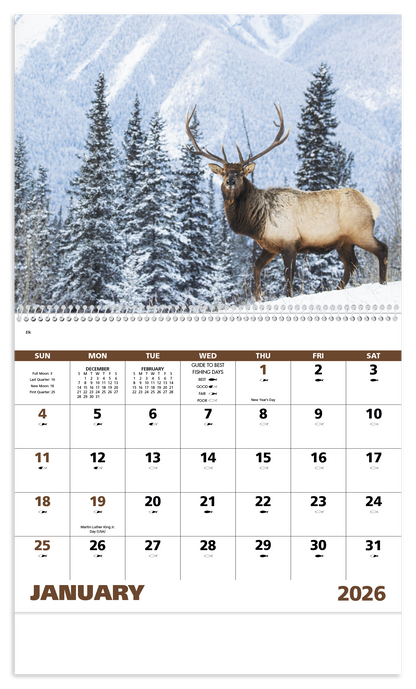Good Value Wildlife Portraits  Spiral Calendar-7063