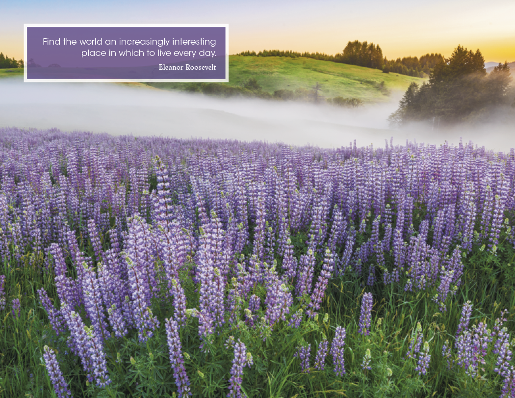 Good Value Inspirations for Life  Spiral Calendar-7079