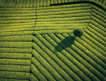 Good Value View from Above  Spiral Calendar-7084