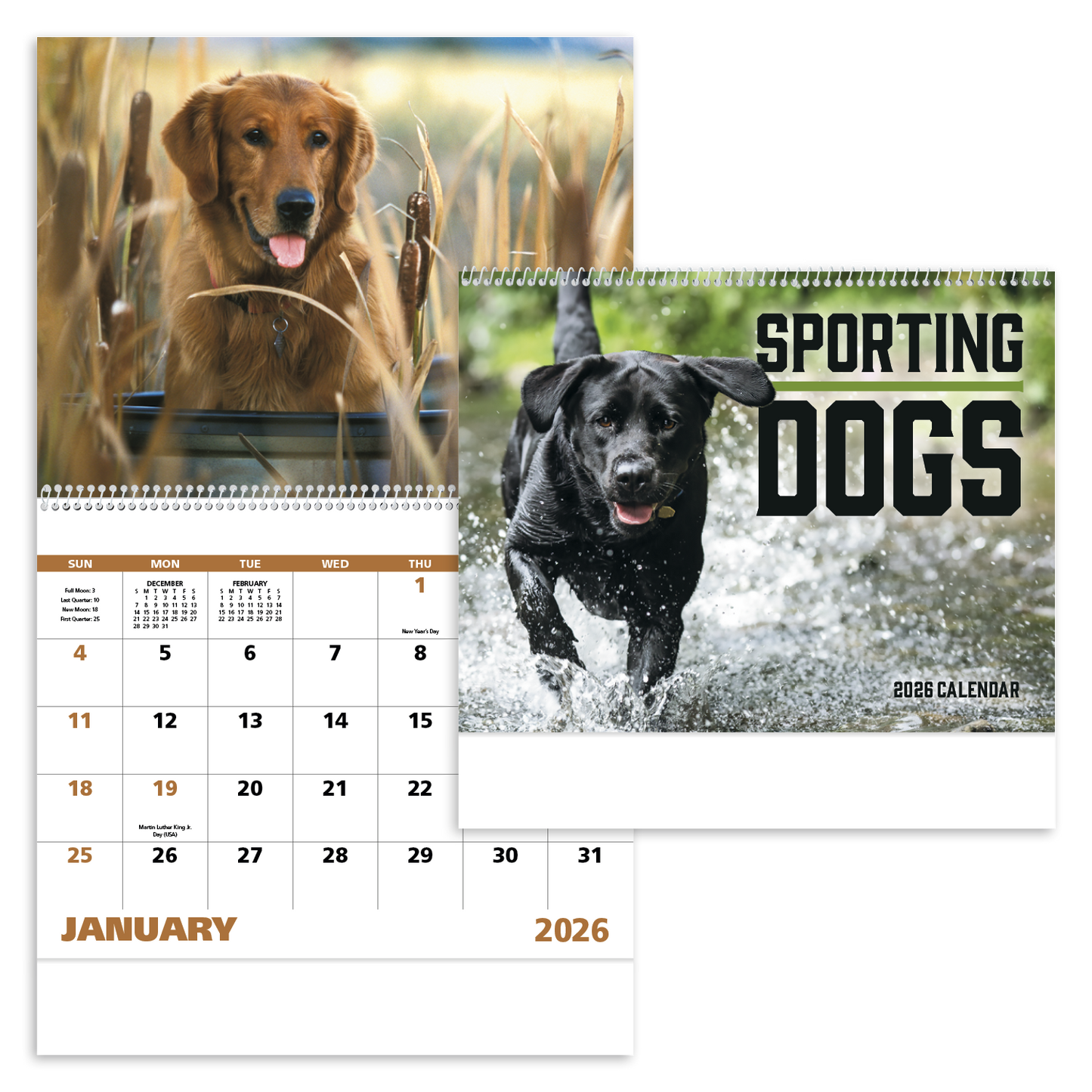 Good Value Sporting Dogs  Spiral Calendar-7090