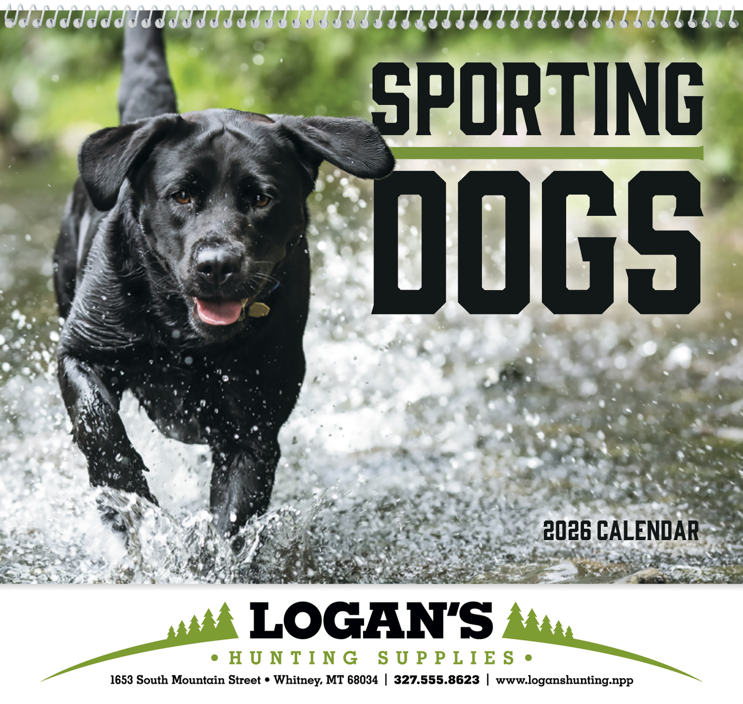 Good Value Sporting Dogs  Spiral Calendar-7090