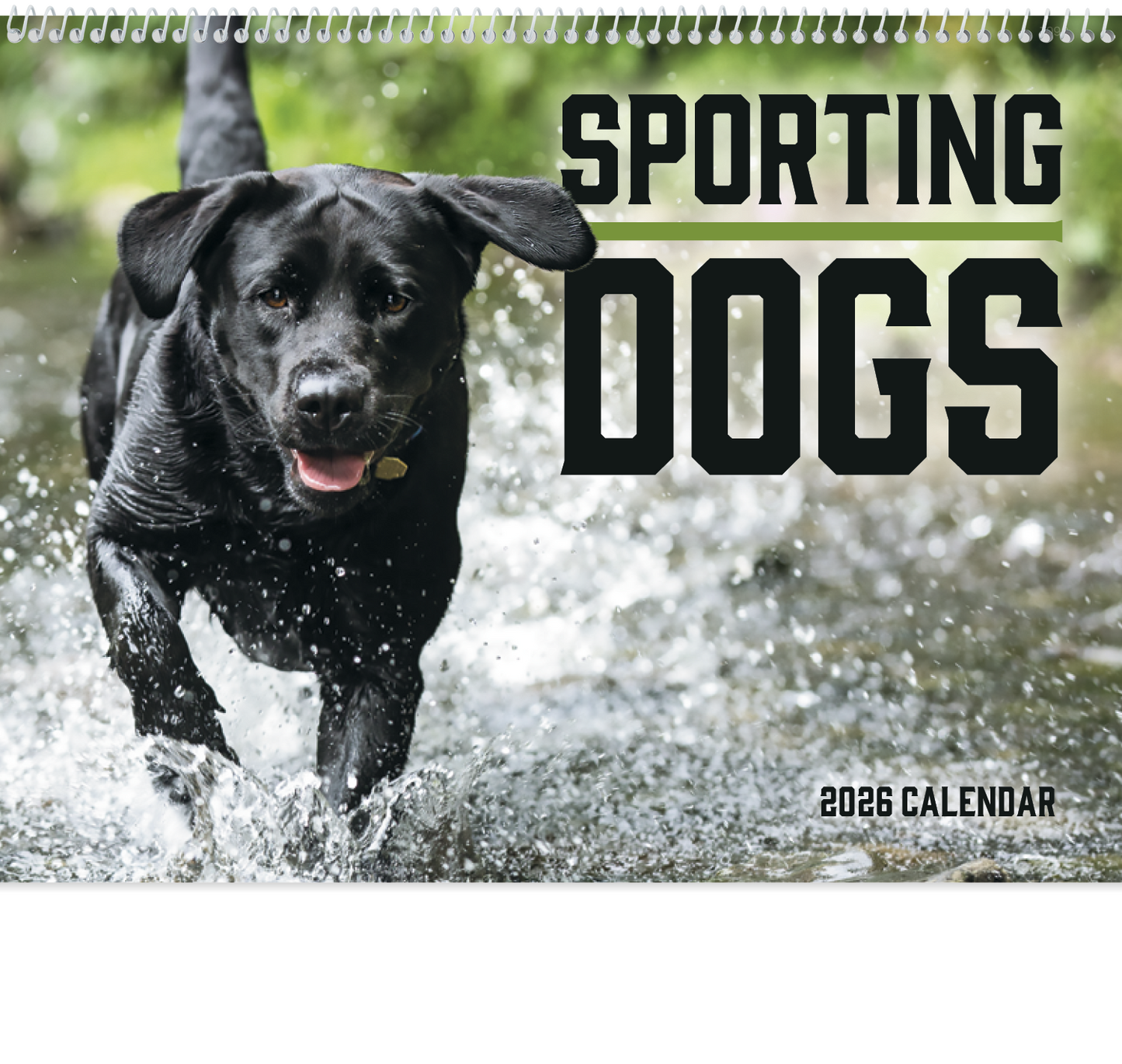 Good Value Sporting Dogs  Spiral Calendar-7090