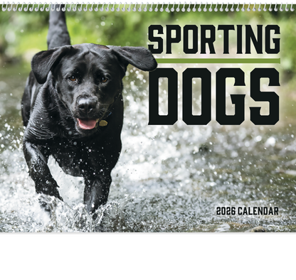 Good Value Sporting Dogs  Spiral Calendar-7090