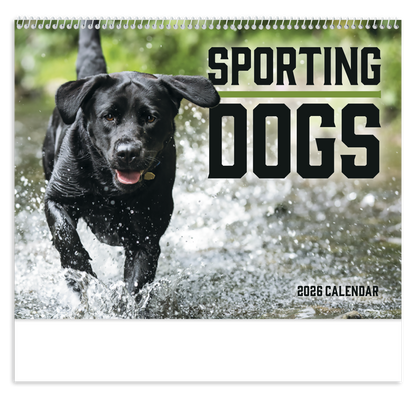 Good Value Sporting Dogs  Spiral Calendar-7090
