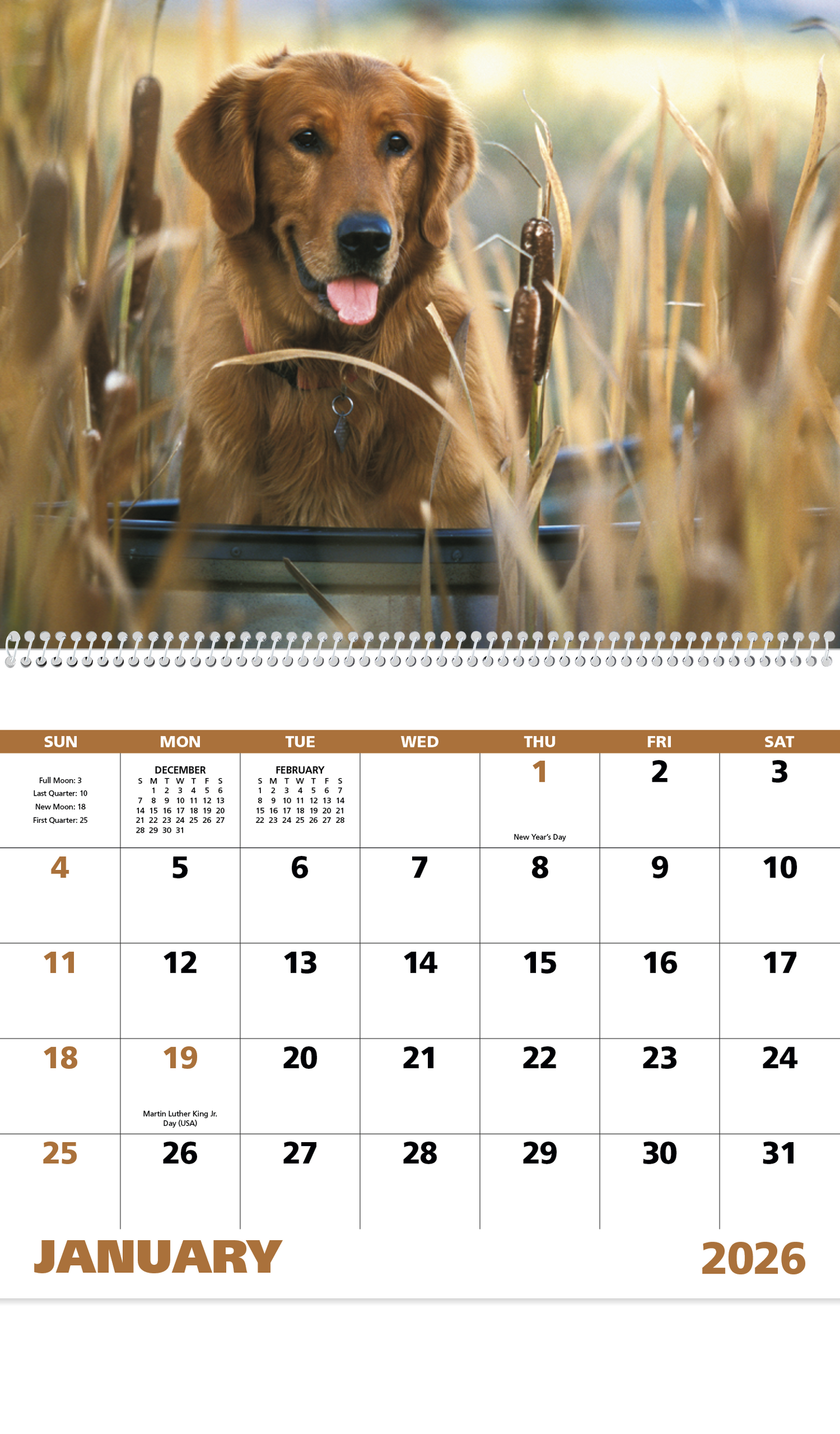 Good Value Sporting Dogs  Spiral Calendar-7090