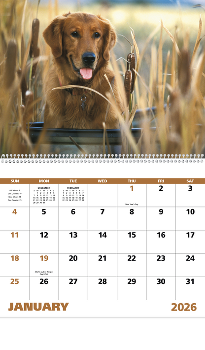 Good Value Sporting Dogs  Spiral Calendar-7090