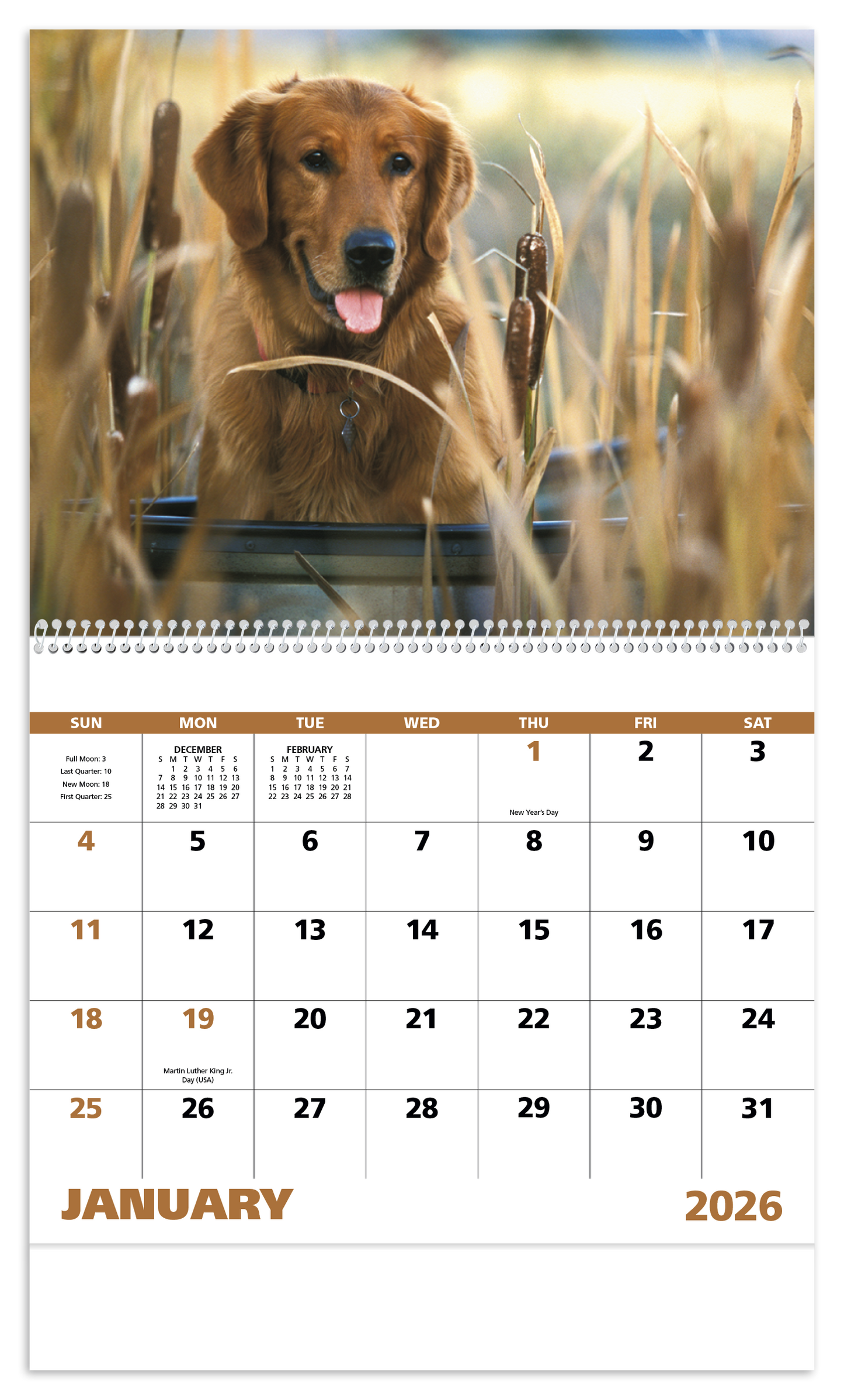 Good Value Sporting Dogs  Spiral Calendar-7090