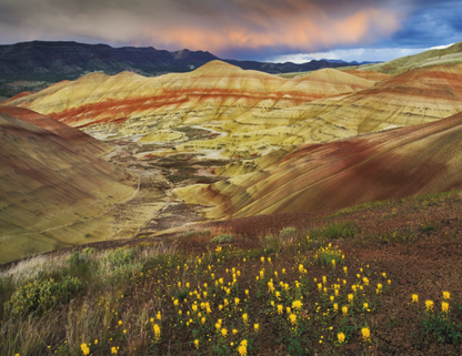 Good Value Landscapes of America  Stapled Calendar-7201