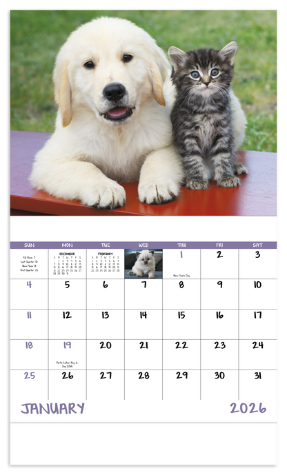 Good Value Puppies  Kittens  Stapled Calendar-7207