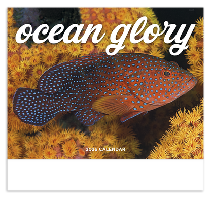 Good Value Ocean Glory  Stapled Calendar-7217