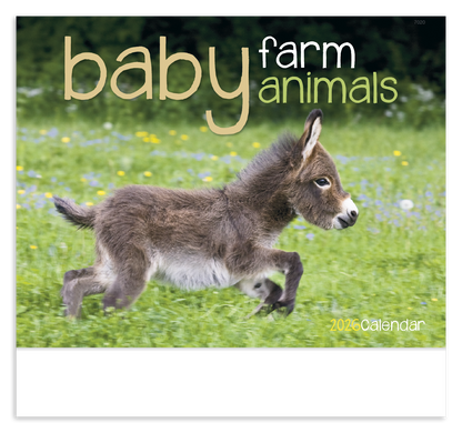 Good Value Baby Farm Animals  Stapled Calendar-7220