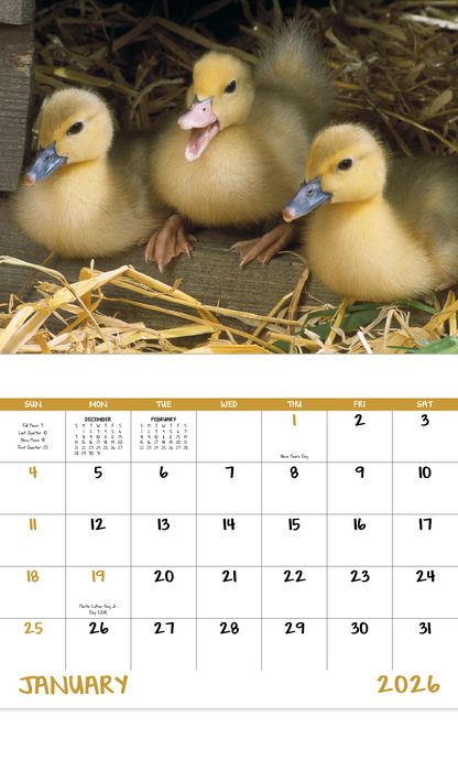 Good Value Baby Farm Animals  Stapled Calendar-7220