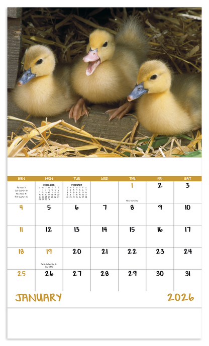Good Value Baby Farm Animals  Stapled Calendar-7220