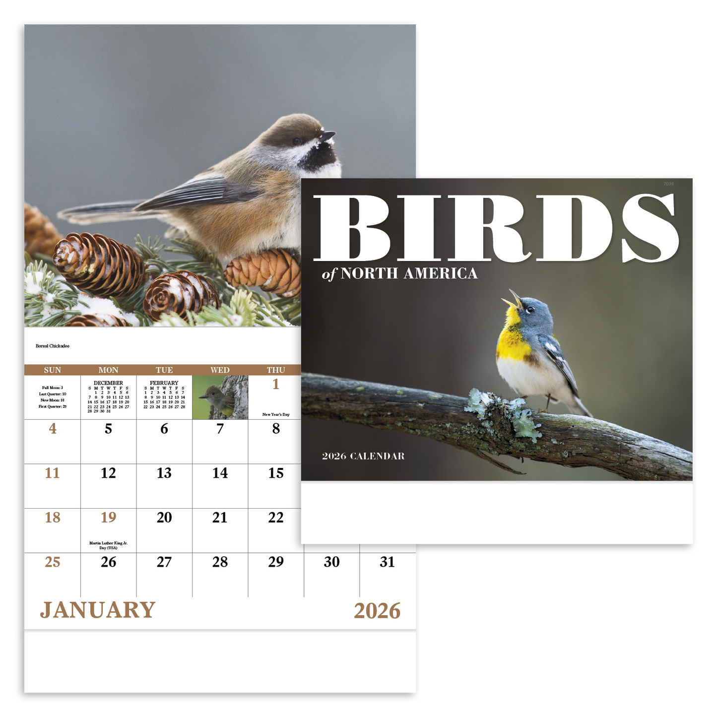 Good Value Birds of North America  Stapled Calendar-7236