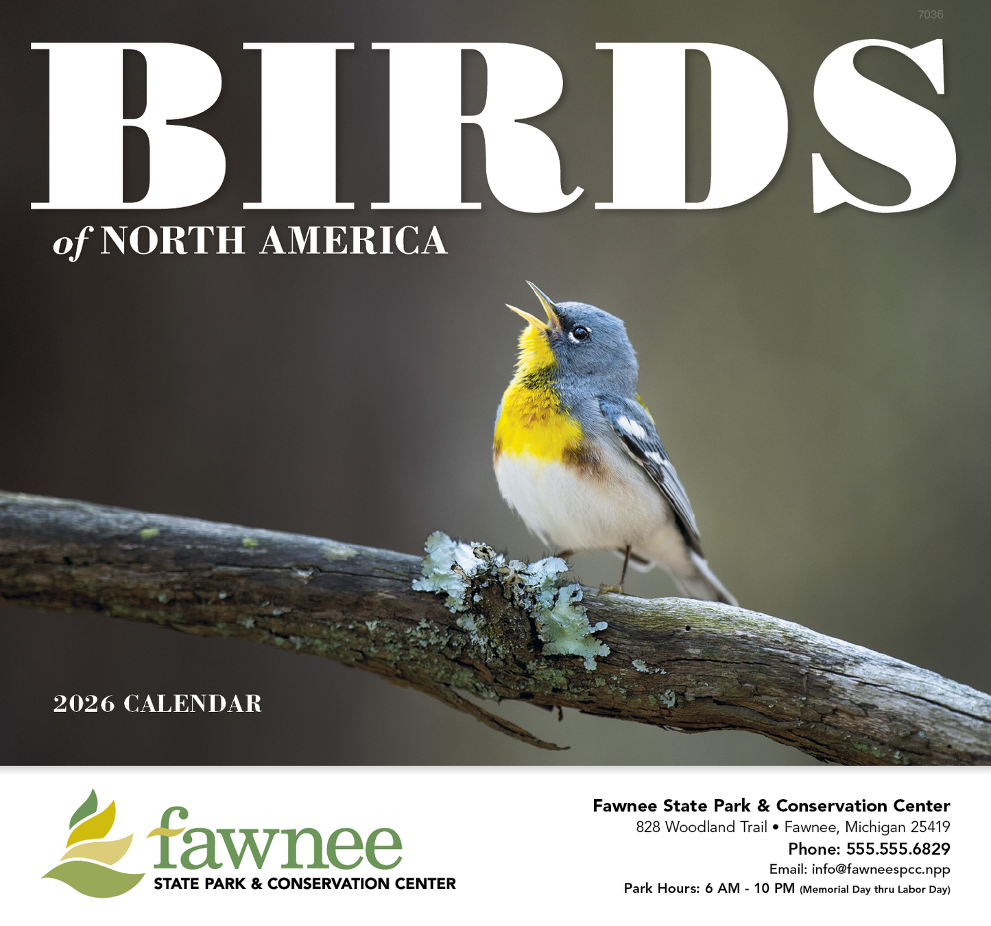 Good Value Birds of North America  Stapled Calendar-7236