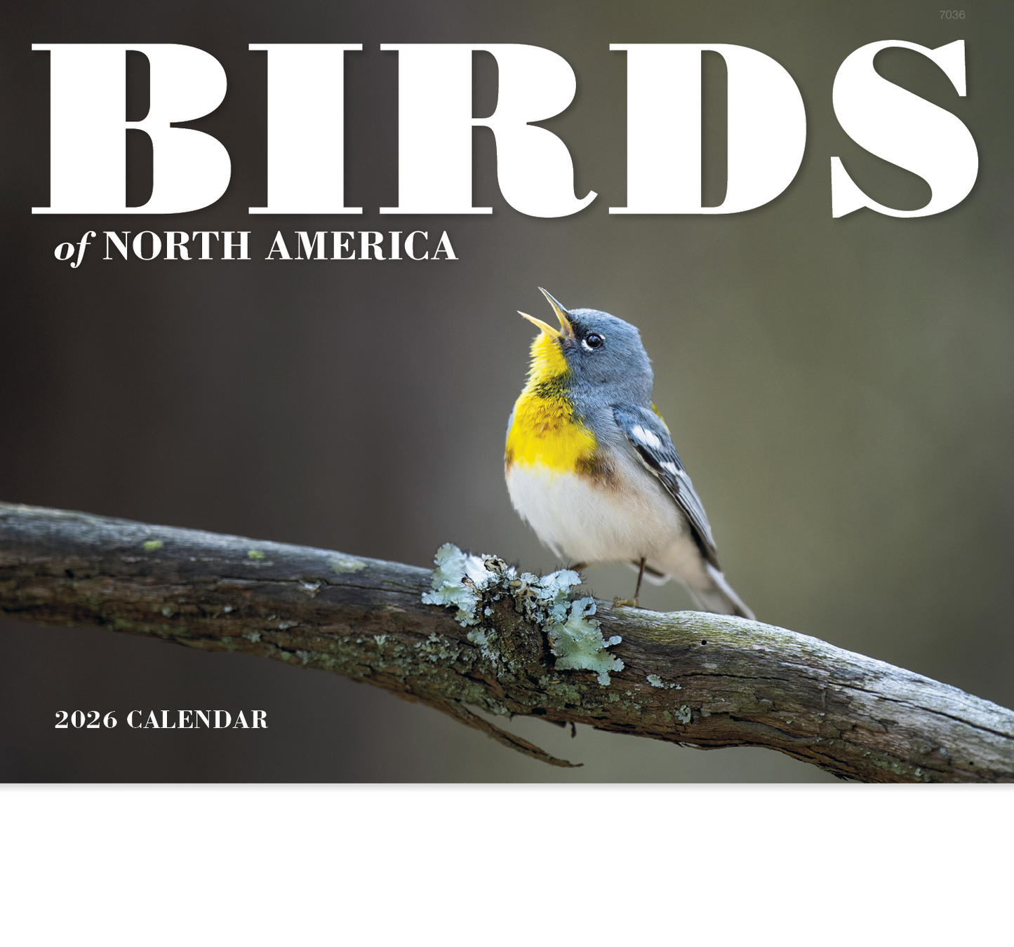 Good Value Birds of North America  Stapled Calendar-7236