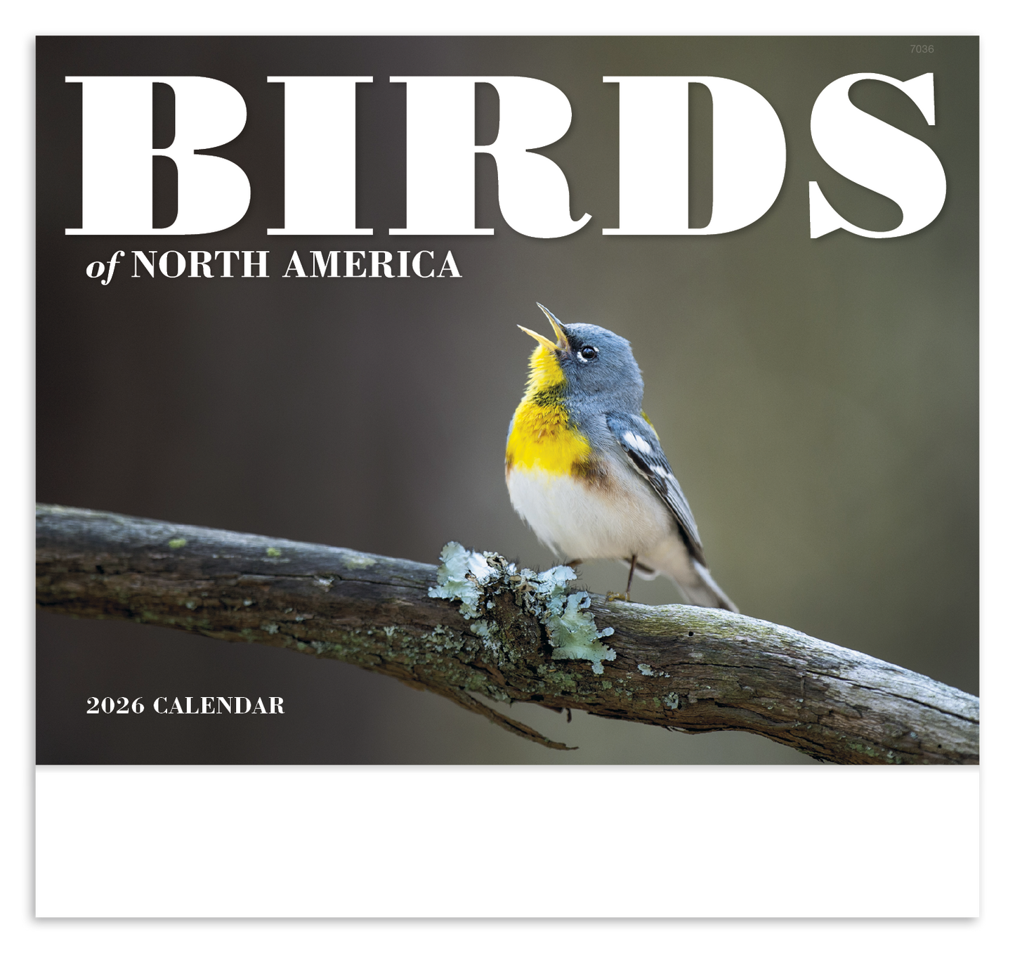 Good Value Birds of North America  Stapled Calendar-7236