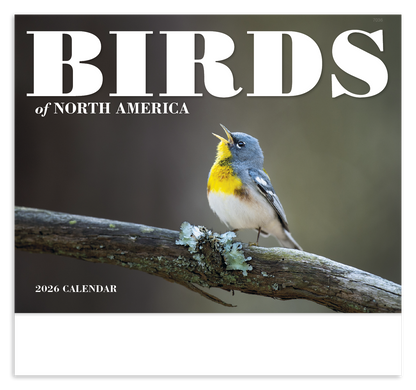 Good Value Birds of North America  Stapled Calendar-7236