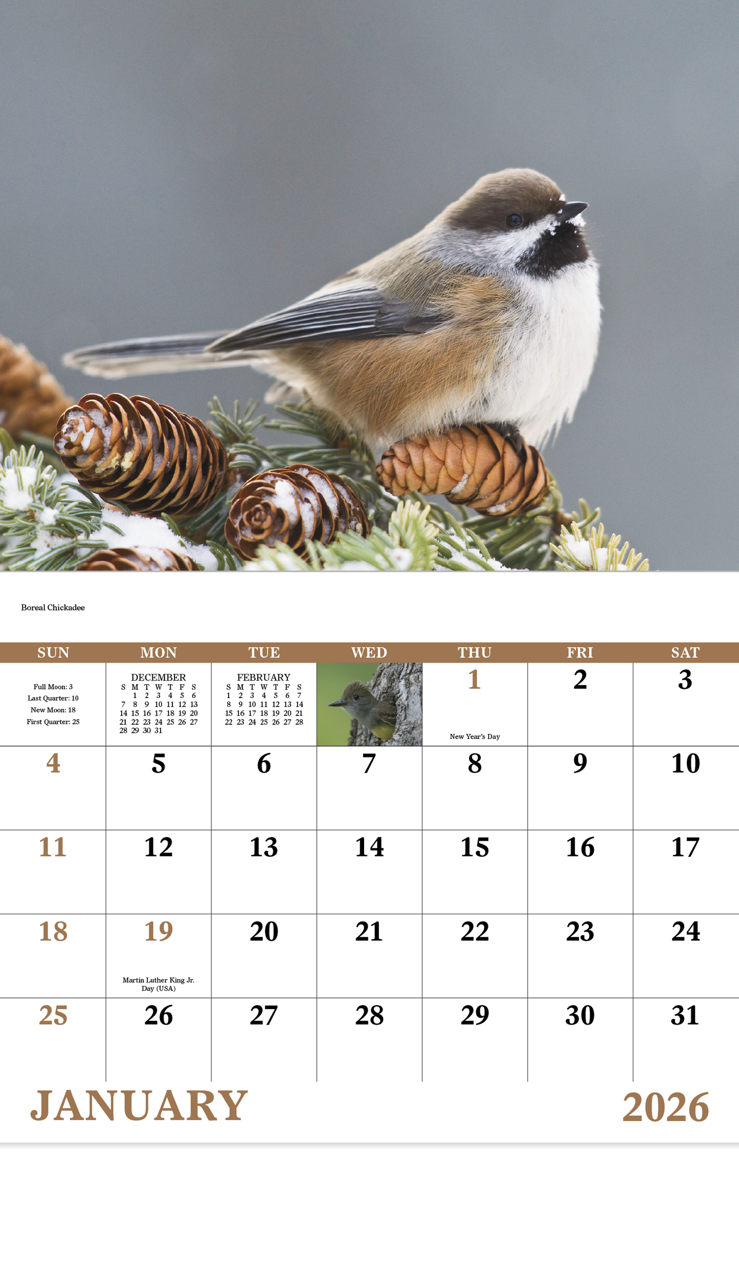 Good Value Birds of North America  Stapled Calendar-7236