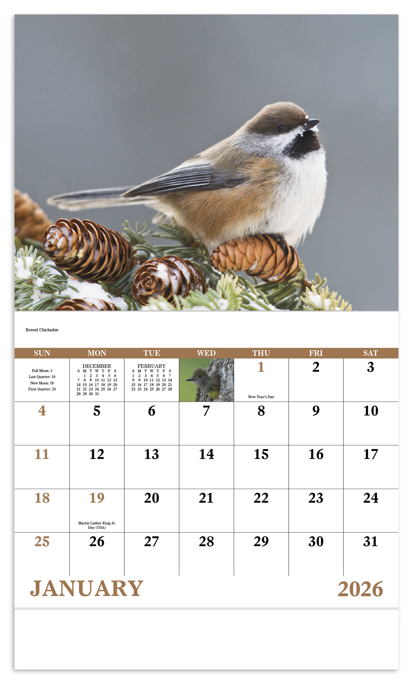 Good Value Birds of North America  Stapled Calendar-7236