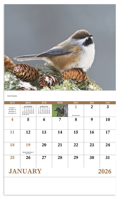 Good Value Birds of North America  Stapled Calendar-7236