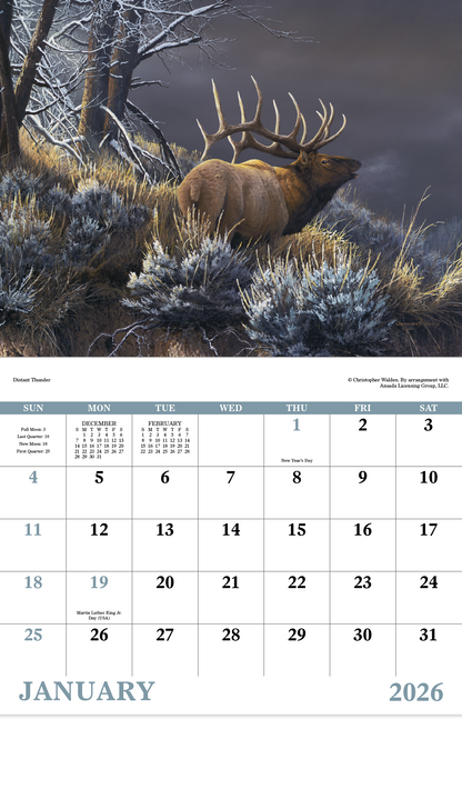 Good Value Wildlife Canvas  Stapled Calendar-7238