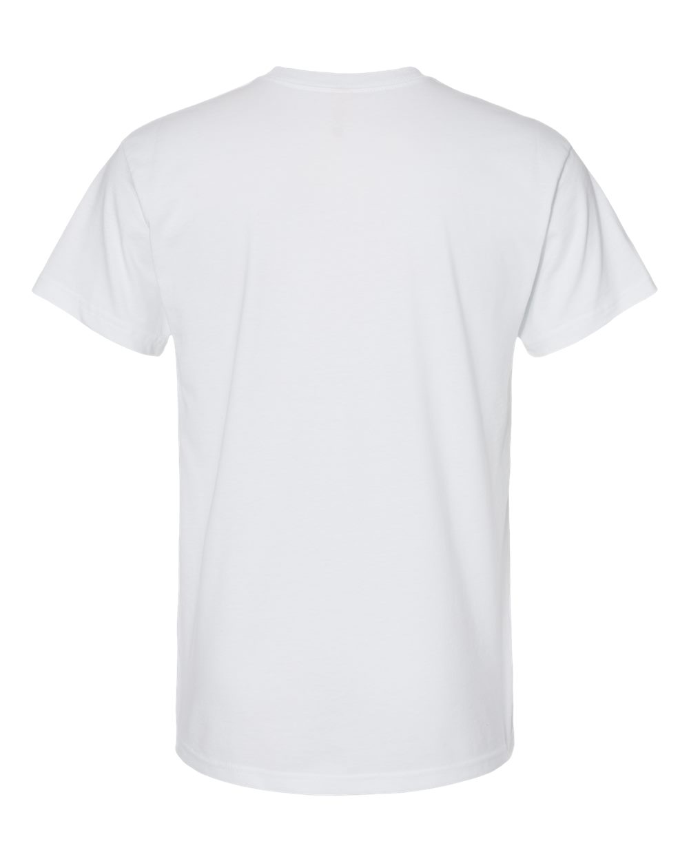 Next Level Eco Heavyweight T-Shirt - 4600