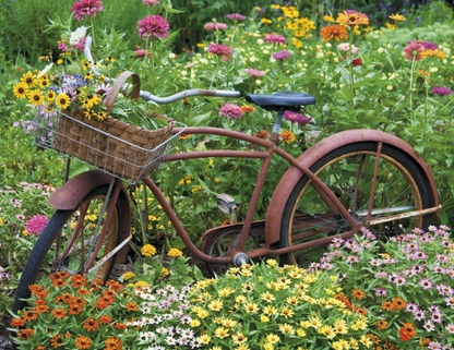 Good Value Garden Walk  Stapled Calendar-7277