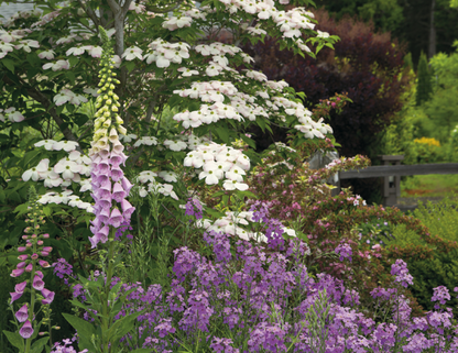 Good Value Garden Walk  Stapled Calendar-7277