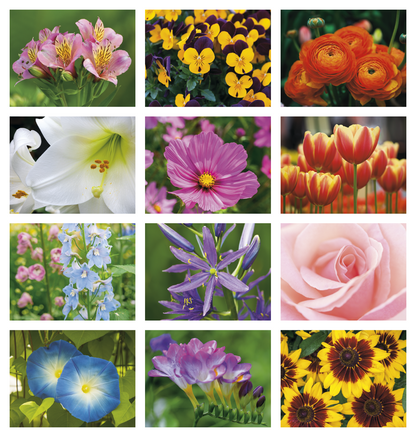 Good Value Flowers  Stapled Calendar-7280