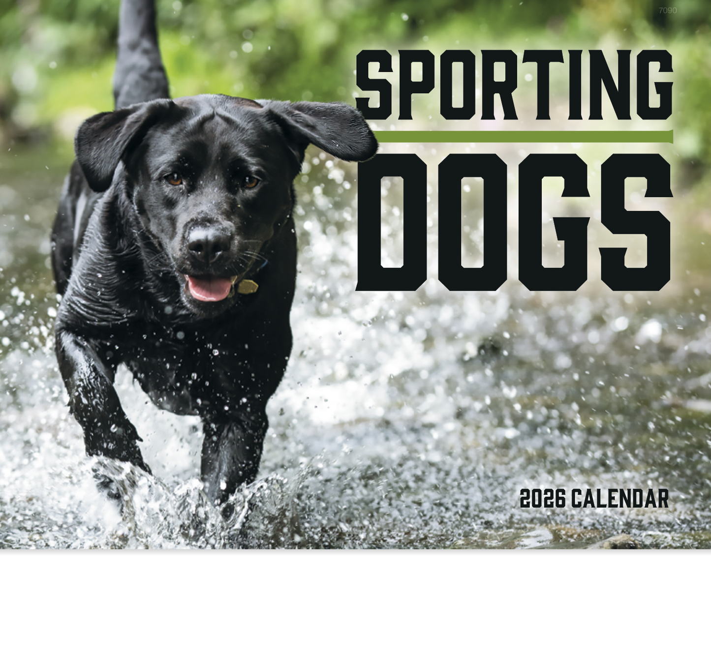 Good Value Sporting Dogs  Stapled Calendar-7290