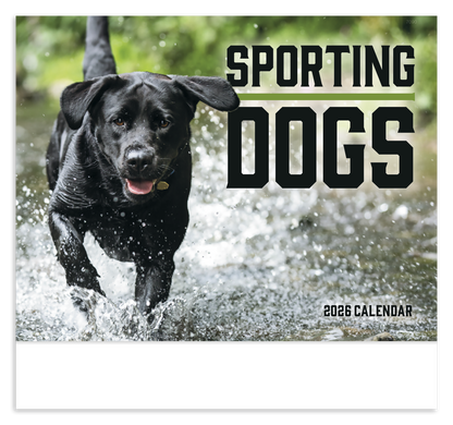 Good Value Sporting Dogs  Stapled Calendar-7290