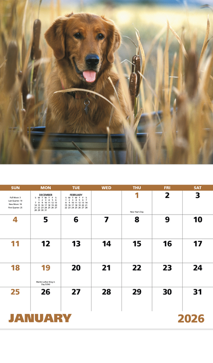 Good Value Sporting Dogs  Stapled Calendar-7290