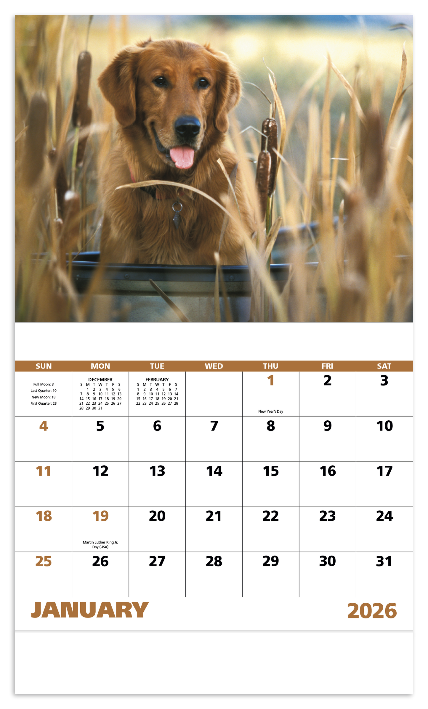 Good Value Sporting Dogs  Stapled Calendar-7290
