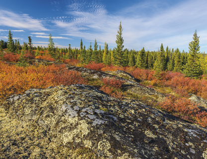 Good Value Scenic Canada  Window Calendar-7502
