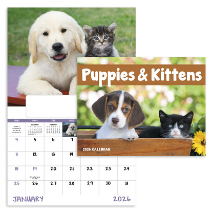 Good Value Puppies  Kittens  Window Calendar-7507