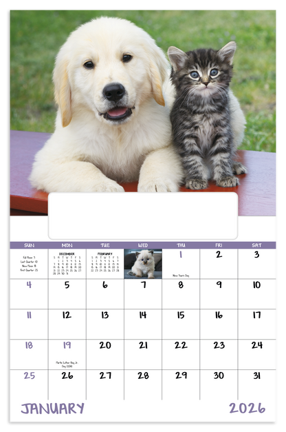 Good Value Puppies  Kittens  Window Calendar-7507