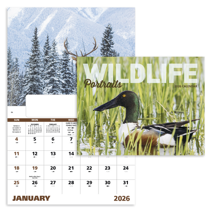 Good Value Wildlife Portraits  Window Calendar-7563