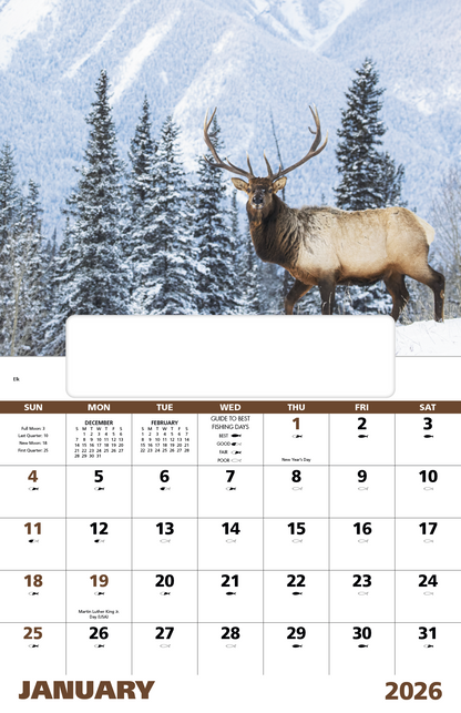 Good Value Wildlife Portraits  Window Calendar-7563