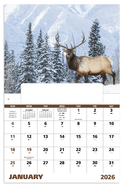 Good Value Wildlife Portraits  Window Calendar-7563