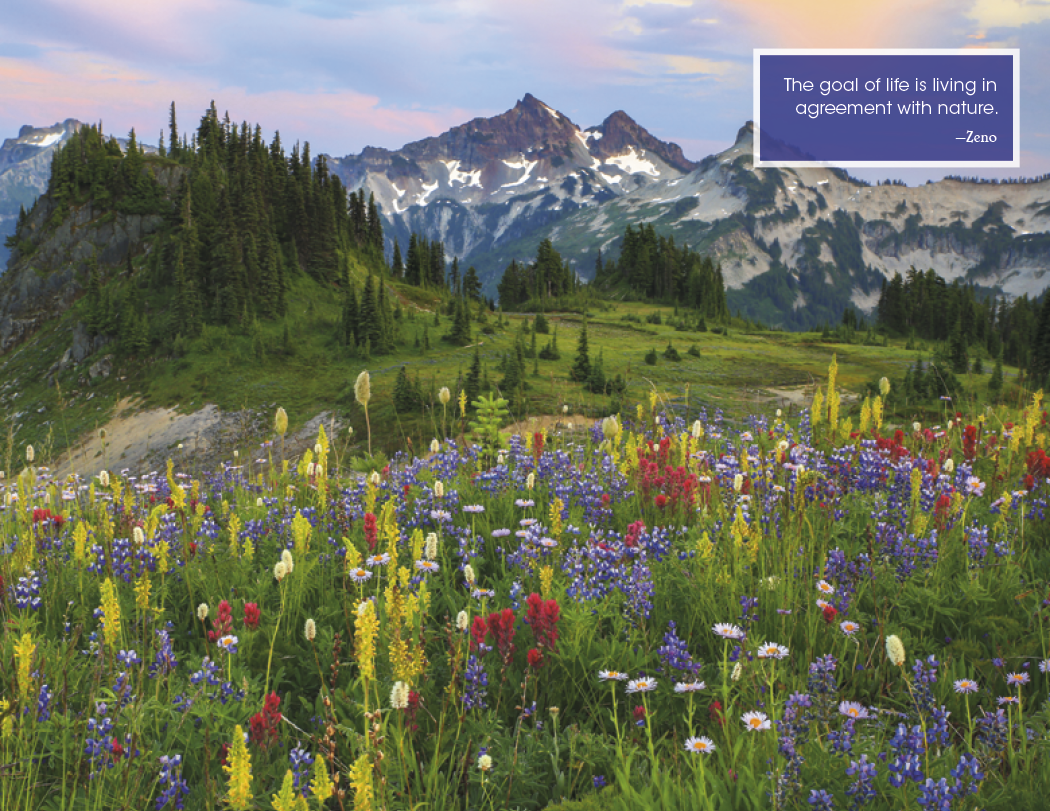 Good Value Inspirations for Life  Window Calendar-7579